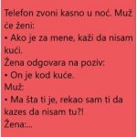 VIC DANA: ŽENA I POZIV… VIC DANA: ŽENA I POZIV… - featured image