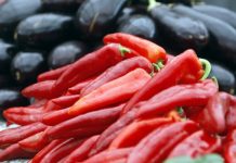 U svježim paprikama otkrivena TOKSIČNA HEMIKALIJA! Izuzetno je opasna za ljude, evo gdje se prodaje