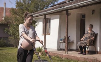 Pokosila sam travu 82-godišnjoj udovici iz susjedstva; sljedećeg jutra sudski izvršitelj pokucao je na moja vrata sa zahtjevom od kojeg mi se sledila krv u žilama.