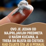 OVO JE JEDAN OD NAJPRLJAVIJIH PREDMETA U NAŠIM KUĆAMA, A TREBA DA BLISTA OD ČISTOĆE: Kad čujete šta je u pitanju, ZGROZIĆETE SE
