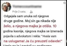 Odrastao je uz baku, a onda ga je majka odvela: Sa 18 godina vratio se sa poklonom koji joj je promenio život