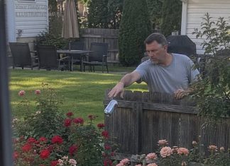 Moj je susjed mjesecima bacao limenke u moje ruže i govorio da sam “preosjetljiva” — zato sam sačuvala svaku, a kad je pokušao mene prijaviti gradu, nije znao što su moje kamere snimile između tih limenki