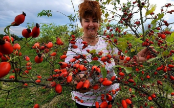 ZA NJU KAŽU DA DIŽE IZ MRTVIH: Ovo je najljekovitija biljka na svijetu