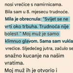 Svekrva joj rekla da trudnoća nije bolest, a onda je svekar doneo odluku koja je šokirala porodicu