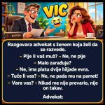 VIC DANA: Razvod🤣