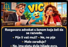 VIC DANA: Razvod🤣