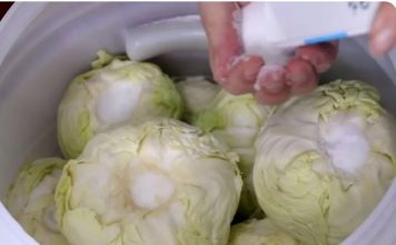 Koliko soli ide na 10 litara vode za kiseli kupus? Samo ovo je prava količina